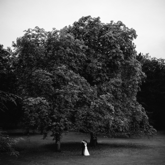Under the tree of love