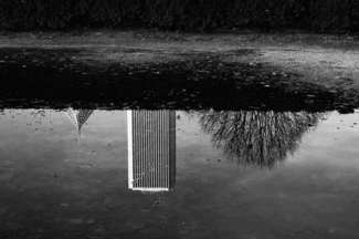 Reflection (3)