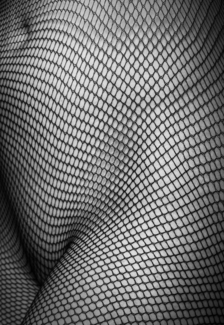 Fish Net
