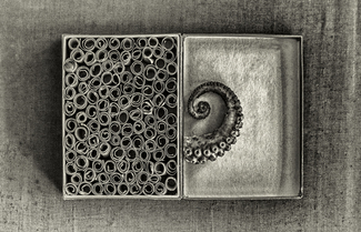 squid notebox