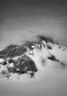 Snow Dune