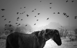 Riders on the Storm
