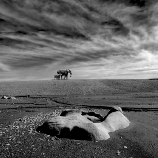 The Long Journey