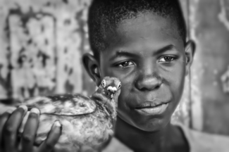 Boy and Bird
