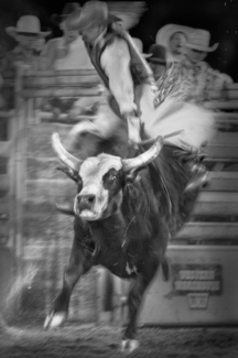 Bullrider