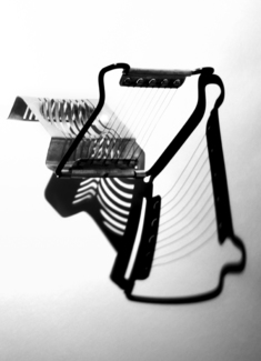 Egg Slicer