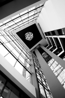 Looking Up (2)