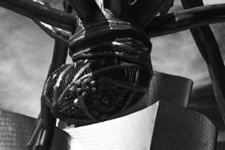 Spider2 