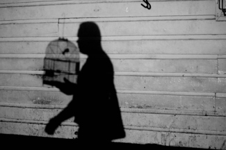 Walking man