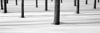 Tracks (2)