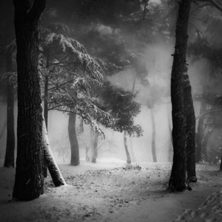 Snow in Porec