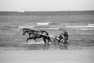 Surf Slinky