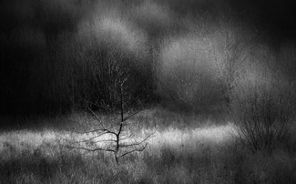 Quiet Light Series (1)