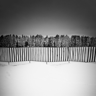 Winter 010