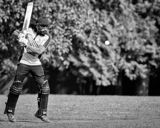 Stanley Park Crickett