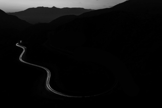 Night Snake