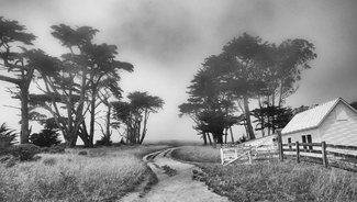 Path, Pt. Reyes