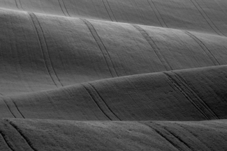 Waves