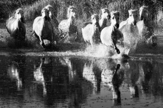 Run Run Run