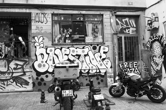 Palestinian Grafitti