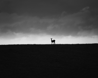 Who is there?