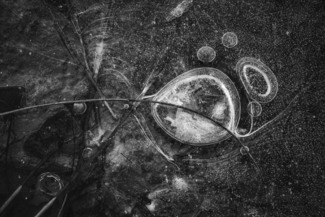 Frozen Universe