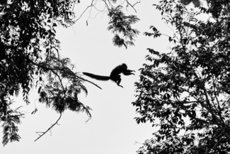 jump