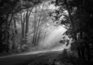 Autumn Light