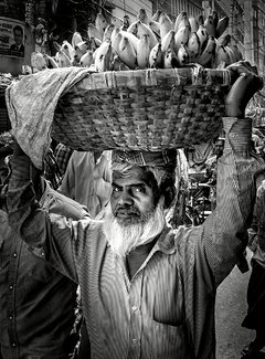 Fruit Vendor