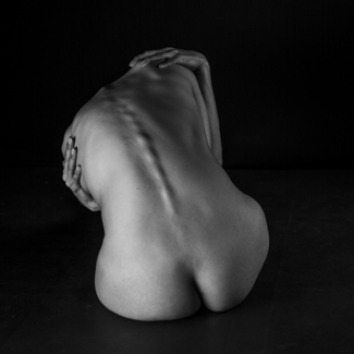 Torso 1