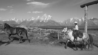 Cowgirl at Work