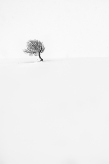 Solitude