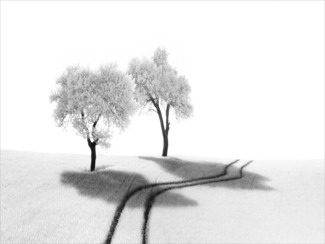 TRACKS (1)