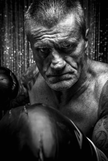Old Boxer