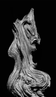 Hecate
