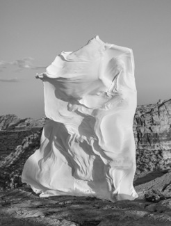 Blowing in the Wind