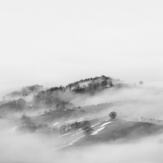 Foggy Hills