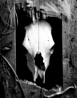 Birth