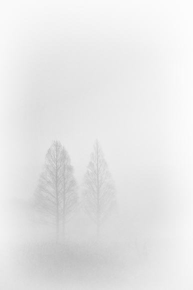 Stand in the fog