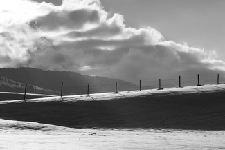 Fence in the snow