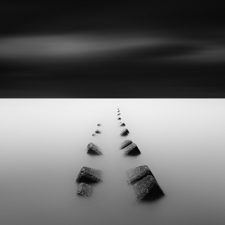 Spine