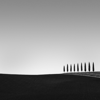 il nove