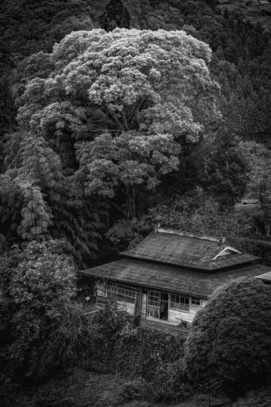 Abandoned House