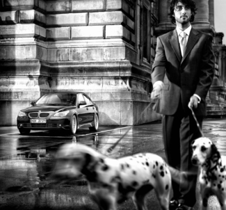 BMW with dogs