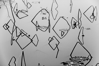 Aquarium