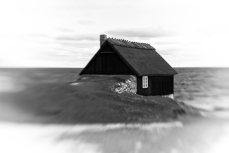 The House