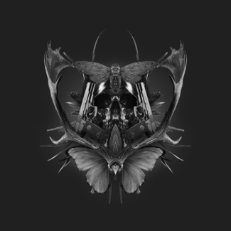 Rorshach