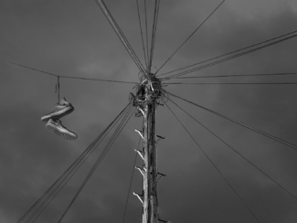 Look Up