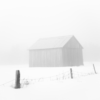 LONELINESS (2)