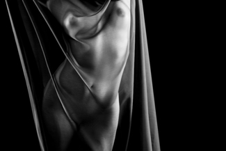The Veil